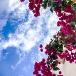 1d4e2215 0bb4 483c a90f b387cb57884f