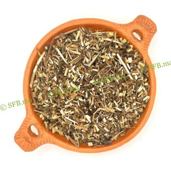 صورة عشبة الإخينسيا الطبيعية من SFB – أعشاب مستوردة عالية الجودة