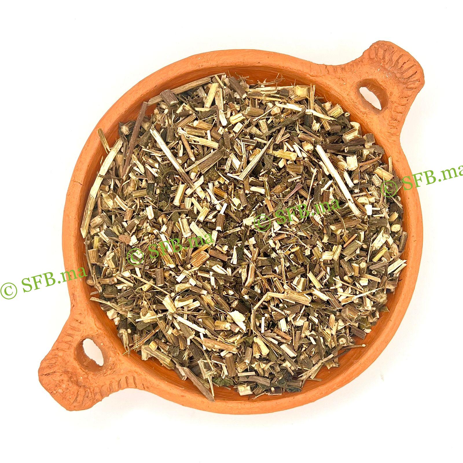 الإخينسيا | فوائد عشبة الإخينسيا مع SFB Natural echinacea herb image from SFB – high-quality imported herbs