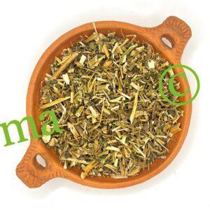 Plante de mélisse naturelle de SFB – Herbe de haute qualité et apaisante