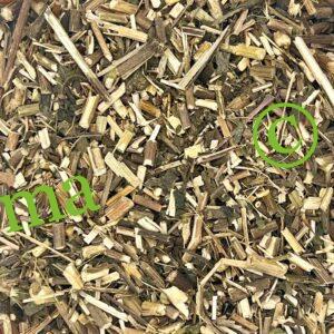 صورة عشبة الإخينسيا الطبيعية من SFB – أعشاب مستوردة عالية الجودة