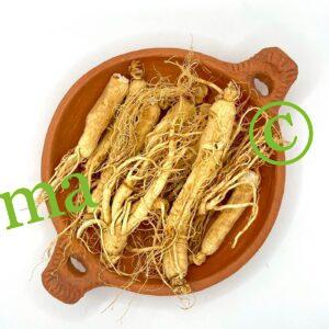 صورة الجينسينج الأبيض الطبيعي من SFB – أعشاب عالية الجودة لدعم الطاقة والمناعة