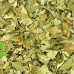 صورة الزعرور الشائك الطبيعي من SFB – أعشاب محلية عالية الجودة