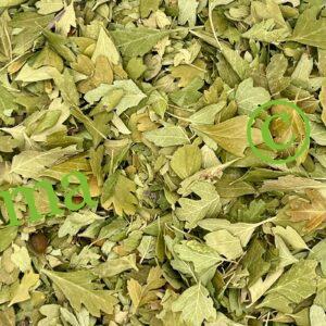 صورة الزعرور الشائك الطبيعي من SFB – أعشاب محلية عالية الجودة