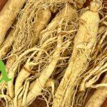 صورة الجينسينج الأبيض الطبيعي من SFB – أعشاب عالية الجودة لدعم الطاقة والمناعة