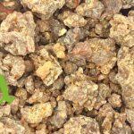 صورة مر البطارخ الطبيعي من SFB – أعشاب ومنتجات طبيعية عالية الجودة