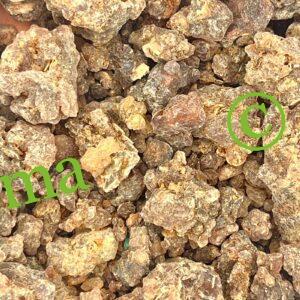 صورة مر البطارخ الطبيعي من SFB – أعشاب ومنتجات طبيعية عالية الجودة