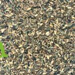 صورة بذور شوك الجمل الطبيعية من SFB – منتج عشبي عالي الجودة لدعم صحة الكبد