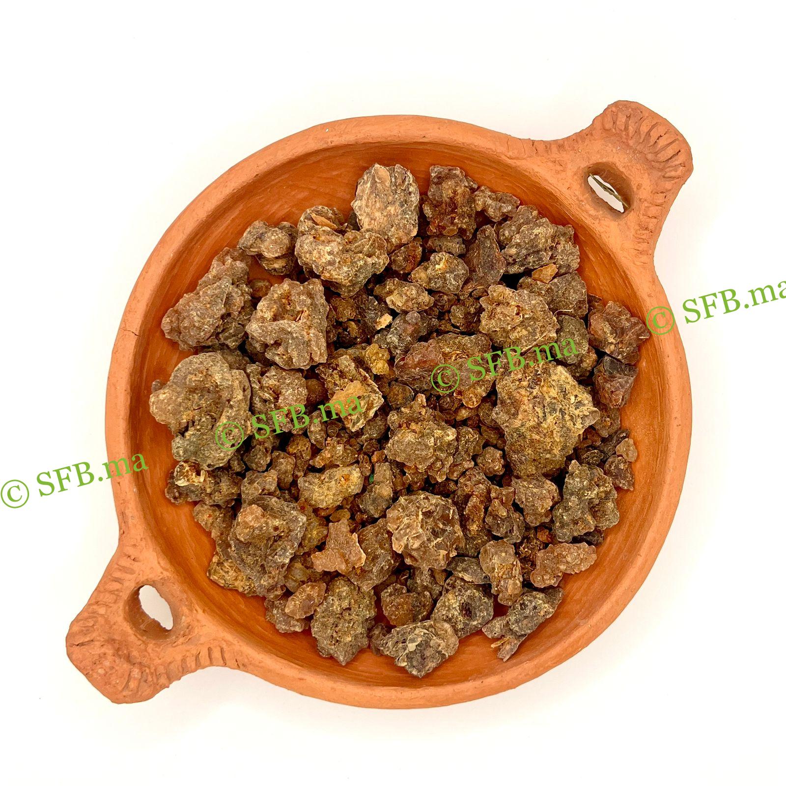 مر البطارخ | فوائد مر البطارخ مع SFB مر البطارخ | فوائد مر البطارخ مع SFB