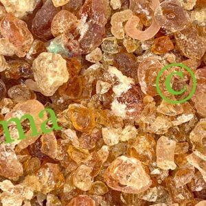 صورة العلك الصحراوي الطبيعي من SFB – منتج طبيعي عالي الجودة محلي