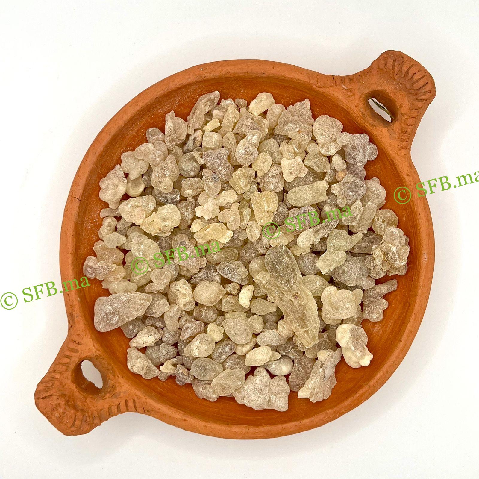 اللبان الذكر الحوجري الأصلي | منتجات SFB الطبيعية صورة اللبان الذكر الحوجري الأصلي من SFB – أعشاب طبيعية عالية الجودة