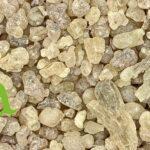 صورة اللبان الذكر الحوجري الأصلي من SFB – أعشاب طبيعية عالية الجودة