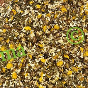 صورة زهرة البابونج الطبيعية من SFB – أعشاب محلية عالية الجودة