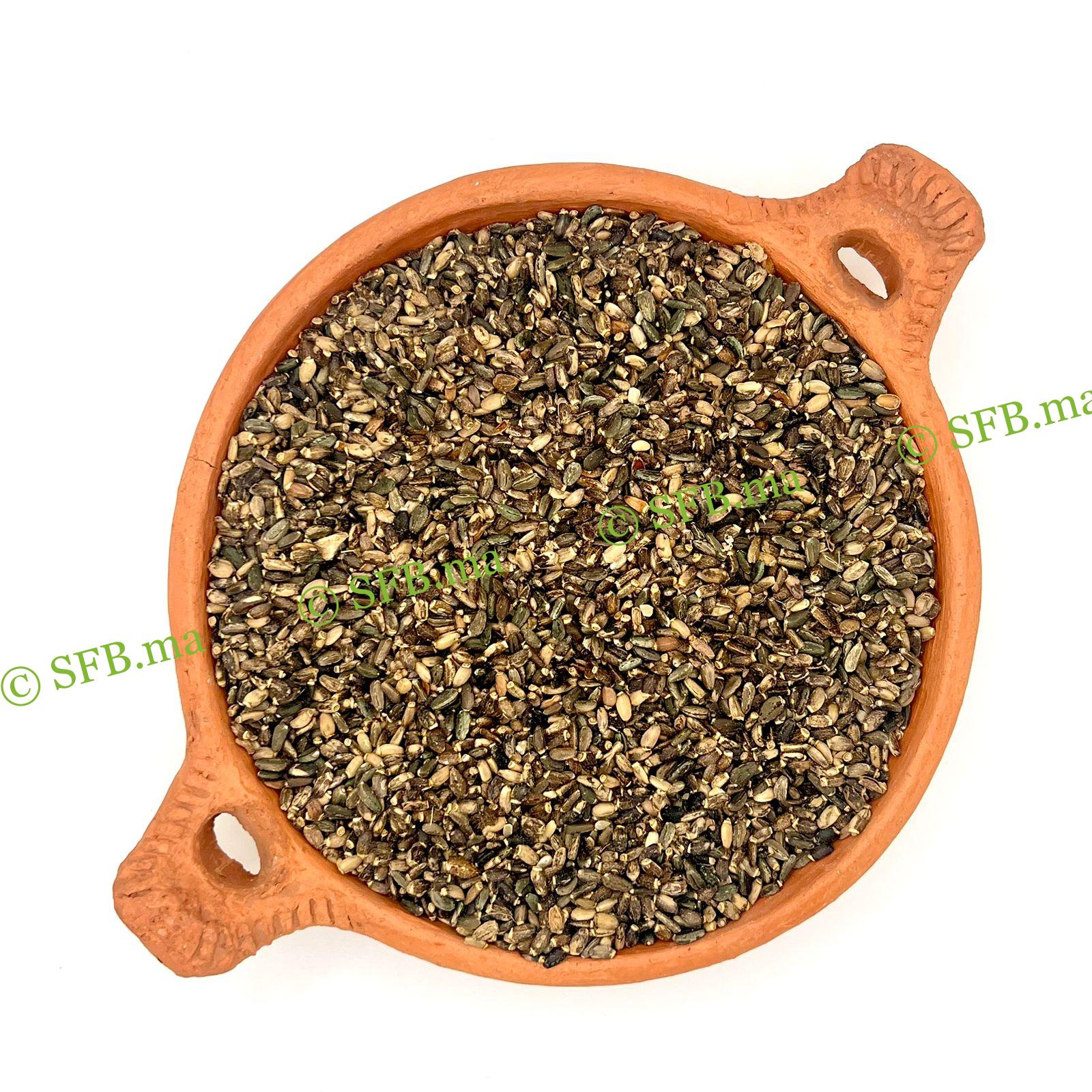 بذور شوك الجمل | فوائد بذور شوك الجمل مع SFB صورة بذور شوك الجمل الطبيعية من SFB – منتج عشبي عالي الجودة لدعم صحة الكبد