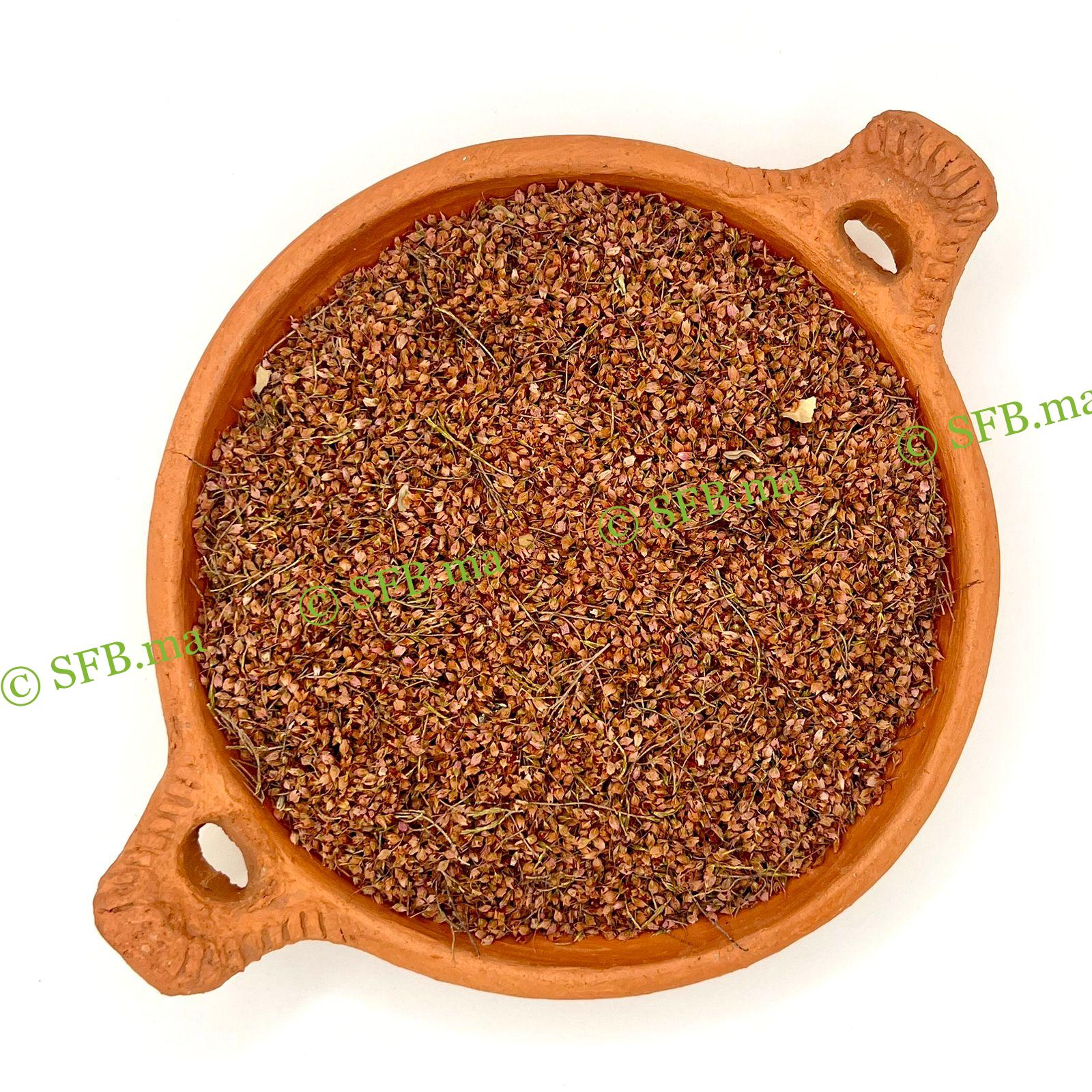 الخلنج | فوائد عشبة الخلنج مع SFB صورة عشبة الخلنج الطبيعية من SFB – أعشاب صحية عالية الجودة