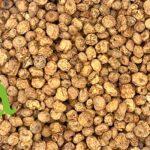 صورة حب العزيز الطبيعي من SFB – منتج صحي محلي ومستورد عالي الجودة