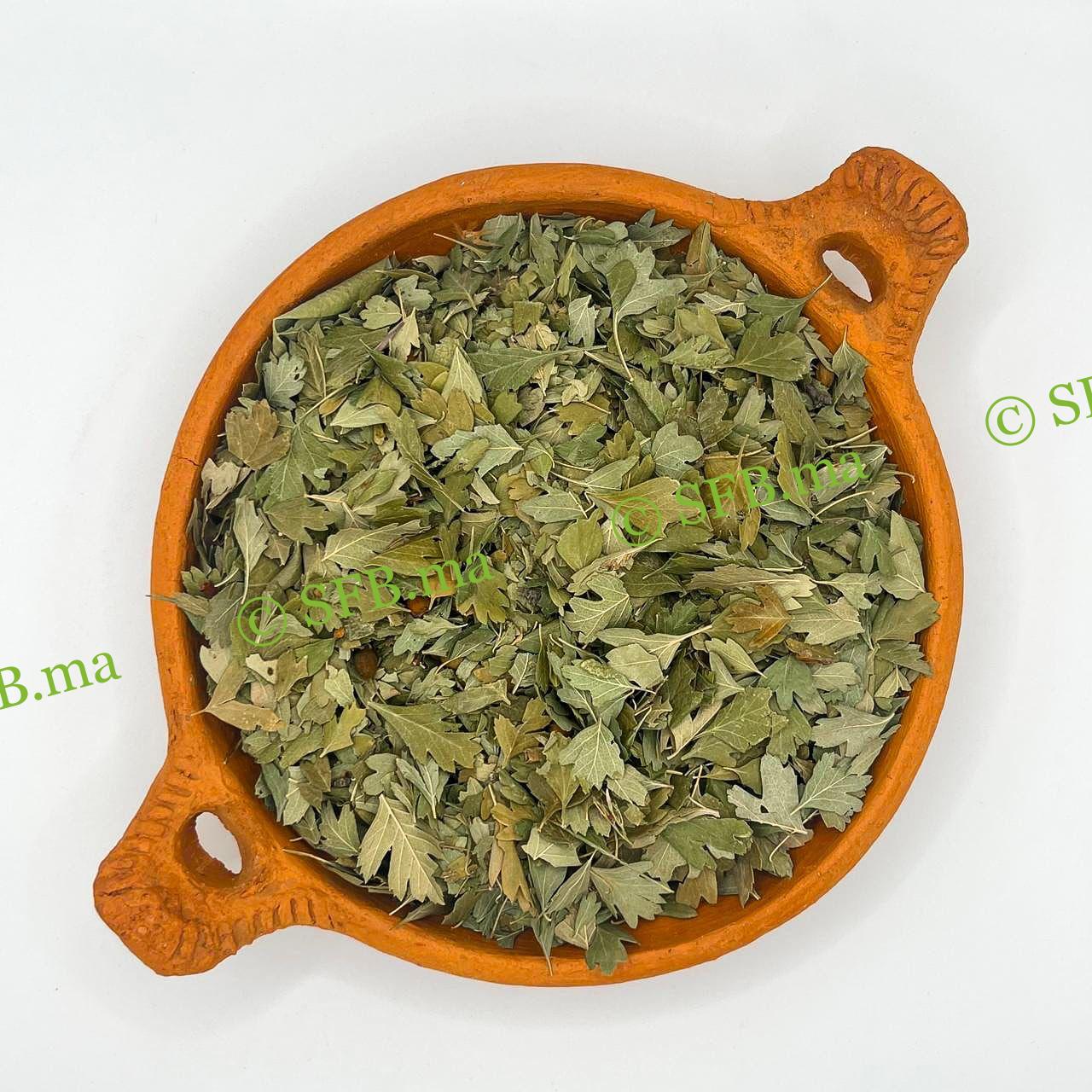 الزعرور الشائك | فوائد الزعرور الشائك مع SFB صورة الزعرور الشائك الطبيعي من SFB – أعشاب محلية عالية الجودة