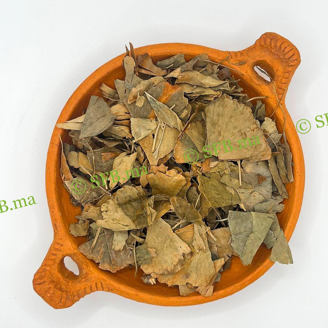 الجنكة بيلوبا | فوائد عشبة الجنكة بيلوبا مع SFB صورة عشبة الجنكة بيلوبا الطبيعية من SFB – دعم الذاكرة وصحة الدماغ