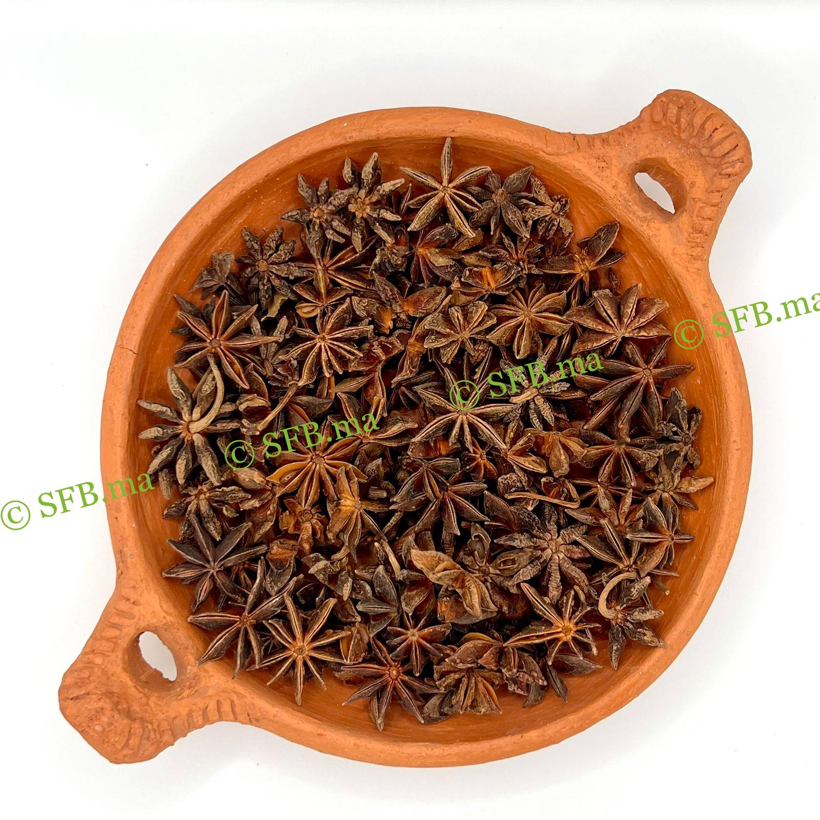 عشبة نجمة الأرض – فوائد صحية وعلاجية | SFB نجمة الأرض لعلاج مشاكل الجهاز الهضمي وتعزيز المناعة | SFB