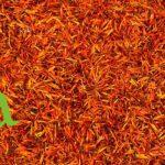 العصفر الطبيعي لتعزيز الدورة الدموية وتقوية القلب | SFB