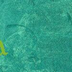 سبيرولينا الطبيعية لدعم الصحة والطاقة | مكمل غذائي من SFB