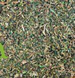 أوراق القراص الطبيعية لتعزيز الصحة العامة ومضادة للالتهابات | SFB