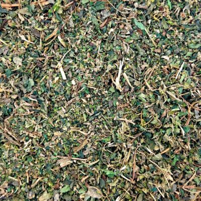 أوراق القراص الطبيعية لتعزيز الصحة العامة ومضادة للالتهابات | SFB