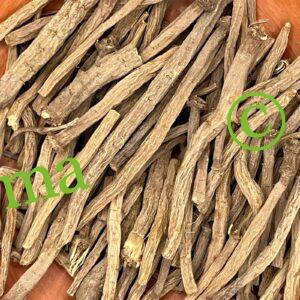 عود القرح (تقنديشت) الطبيعي لتعزيز المناعة ومضاد للالتهابات | SFB