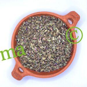 الزعتر الطبيعي لتعزيز المناعة وتحسين التنفس | SFB