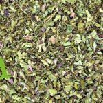 الزعتر الطبيعي لتعزيز المناعة وتحسين التنفس | SFB