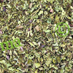 الزعتر الطبيعي لتعزيز المناعة وتحسين التنفس | SFB