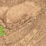 الأملا لتقوية الشعر ومنع التساقط | منتجات طبيعية للعناية بالشعر من SFB