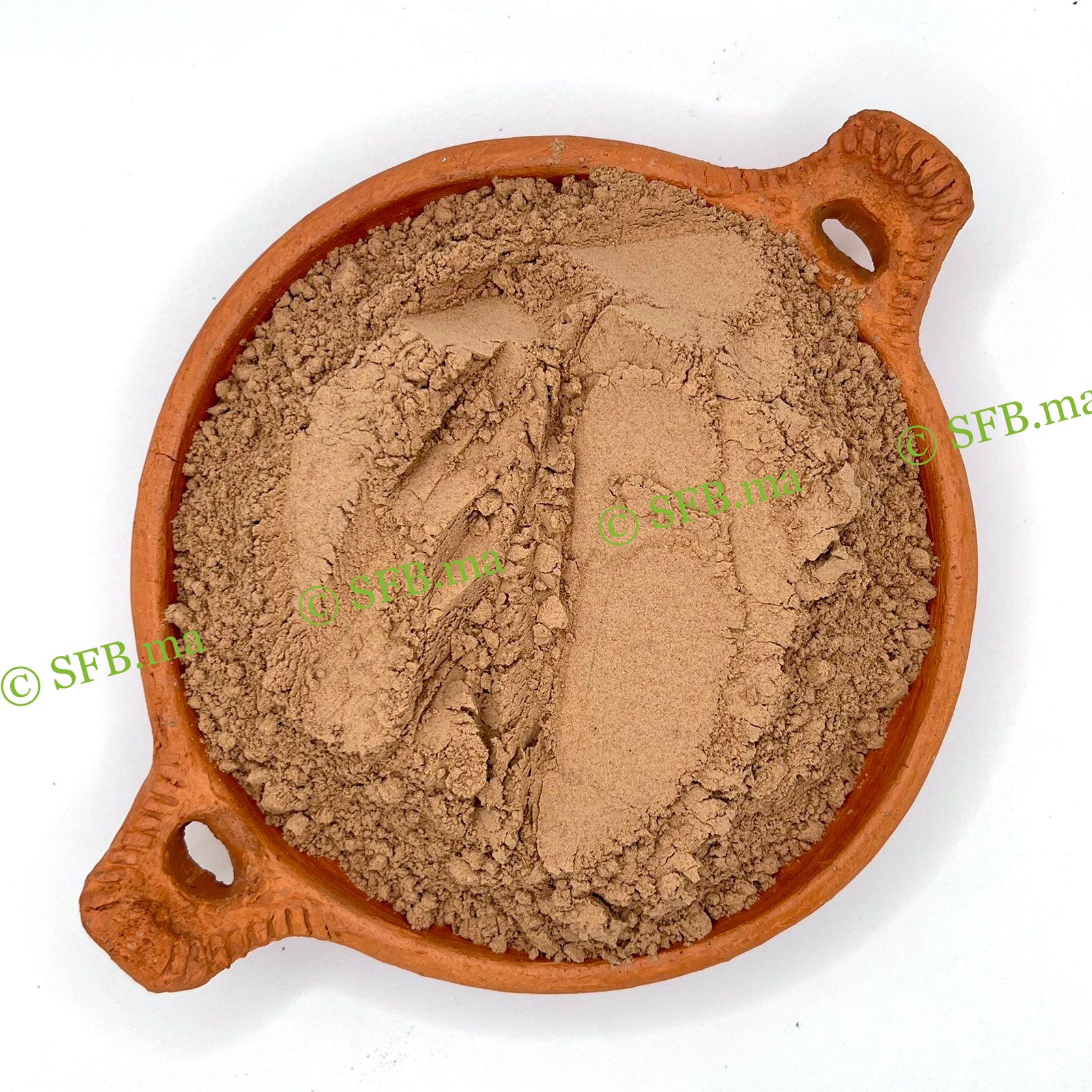 الريثا – العشبة الطبيعية لصحة ولمعان الشعر | SFB الريثا الطبيعية لتنظيف الشعر وتقويته ومنع تساقطه | منتجات SFB