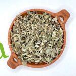 القطف المالح لدعم التوازن الهرموني وتعزيز الصحة الطبيعية | SFB