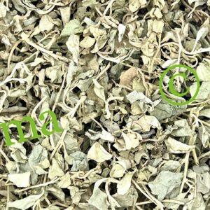 القطف المالح لدعم التوازن الهرموني وتعزيز الصحة الطبيعية | SFB