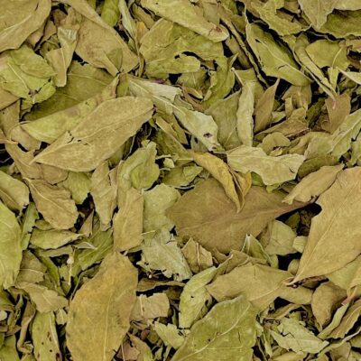 أوراق الكاري لتقوية الشعر ومنع تساقطه وتحفيز النمو | منتجات طبيعية من SFB