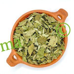 أوراق الكاري لتقوية الشعر ومنع تساقطه وتحفيز النمو | منتجات طبيعية من SFB