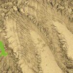 البراهمي لتقوية الشعر وتحفيز نموه والحد من التساقط | منتجات طبيعية من SFB