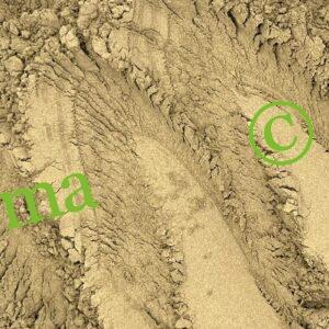 البراهمي لتقوية الشعر وتحفيز نموه والحد من التساقط | منتجات طبيعية من SFB