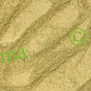 العكاية الصحراوية من المغرب – عشبة طبيعية لعلاج المعدة والسكري والصداع | منتجات SFB