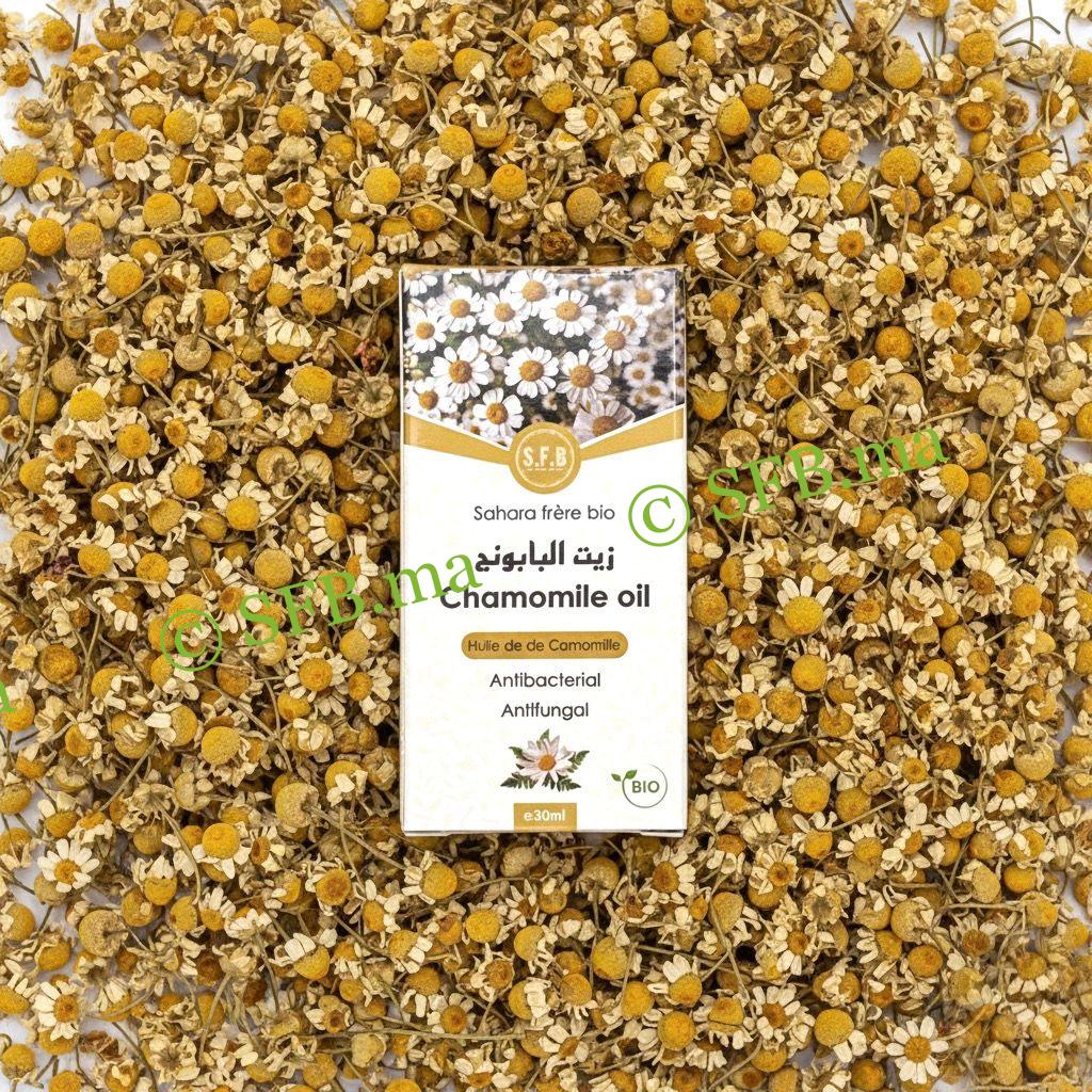 زيت البابونج – العناية الطبيعية بالبشرة والشعر وتهدئة الأعصاب | SFB زيت البابونج الطبيعي لتهدئة البشرة وفروة الرأس وتحسين صحة الشعر | منتجات طبيعية من SFB
