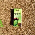 زيت التين الشوكي الطبيعي لترطيب البشرة وتجديد الخلايا ومكافحة التجاعيد | منتجات طبيعية من SFB