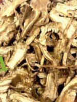 حشيشة الملاك الصينية الطبيعية لدعم صحة المرأة وتنظيم الهرمونات وتحسين الدورة الدموية | منتجات SFB