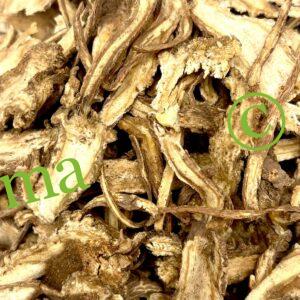 حشيشة الملاك الصينية الطبيعية لدعم صحة المرأة وتنظيم الهرمونات وتحسين الدورة الدموية | منتجات SFB