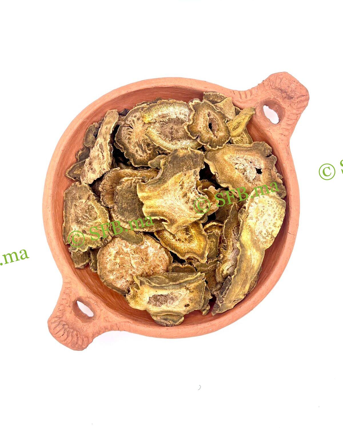 عشبة الراوند – لدعم الهضم وصحة الكبد والمناعة | SFB عشبة الراوند الطبيعية لدعم الهضم وصحة الكبد والمناعة | منتجات SFB