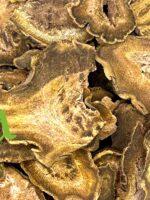 عشبة الراوند الطبيعية لدعم الهضم وصحة الكبد والمناعة | منتجات SFB