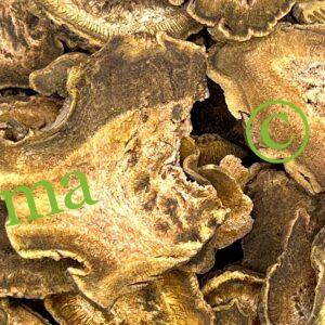 عشبة الراوند الطبيعية لدعم الهضم وصحة الكبد والمناعة | منتجات SFB