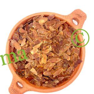 عشبة الجينسينج الأحمر الطبيعية لتعزيز الطاقة والمناعة وتحسين الأداء الذهني والجسدي | منتجات SFB