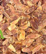 عشبة الجينسينج الأحمر الطبيعية لتعزيز الطاقة والمناعة وتحسين الأداء الذهني والجسدي | منتجات SFB