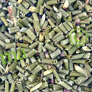 عشبة ذيل الحصان الطبيعية لتقوية الشعر والأظافر ودعم صحة العظام والبشرة | منتجات SFB